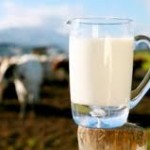 raw milk for the skin