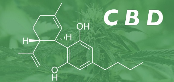 understanding CBD oil